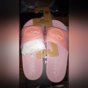 Coach slides